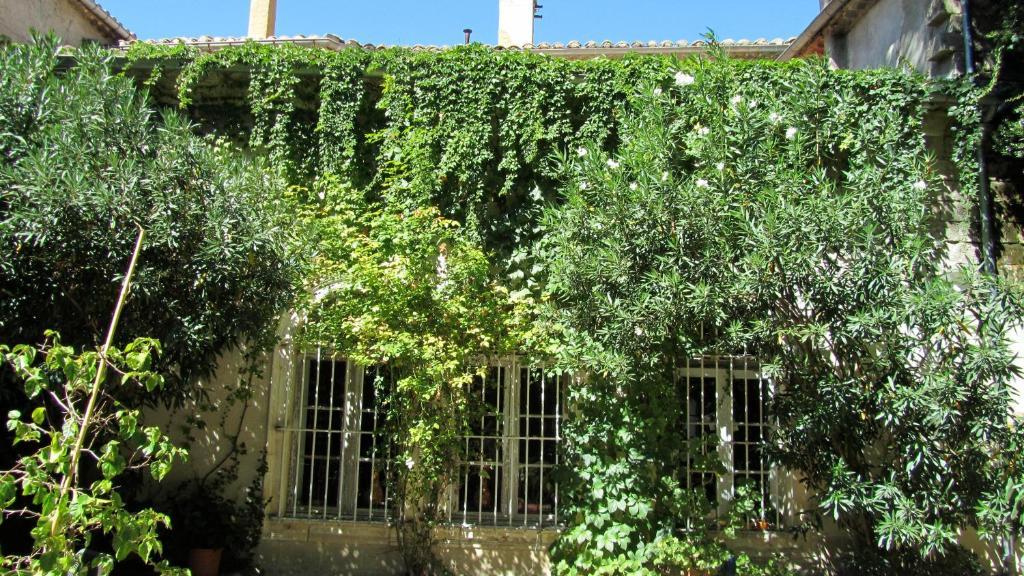 Maison D'Hotes La Boca Sommières Szoba fotó